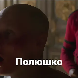Полюшко — звуковой мем
