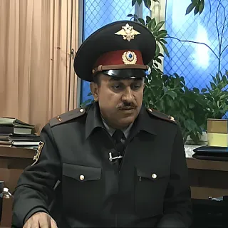 Здесь наши полномочия всё — звуковой мем