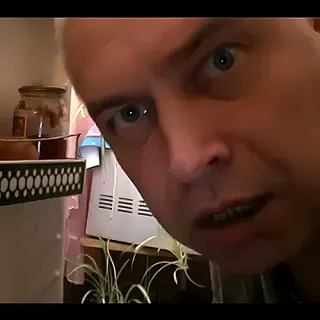 Что вы делаете в моём холодильнике? — звуковой мем